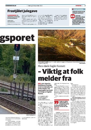 romerikesblad-20251221_000_00_00_003.pdf