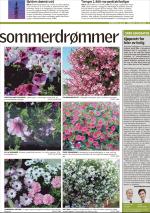 romerikesblad_bolig-20060518_000_00_00_003.pdf