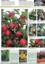 romerikesblad_bolig-20060911_000_00_00_005.pdf