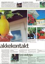 romerikesblad_bolig-20070604_000_00_00_003.pdf