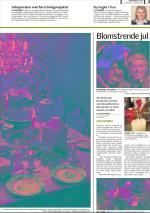 romerikesblad_bolig-20071203_000_00_00_003.pdf