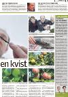 romerikesblad_bolig-20080225_000_00_00_003.pdf