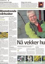romerikesblad_bolig-20080331_000_00_00_004.pdf