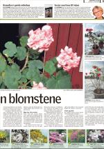 romerikesblad_bolig-20080331_000_00_00_005.pdf
