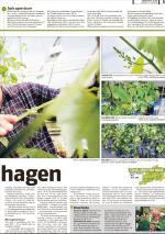 romerikesblad_bolig-20080519_000_00_00_005.pdf