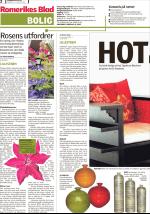 romerikesblad_bolig-20080811_000_00_00_002.pdf