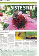 romerikesblad_bolig-20080811_000_00_00_006.pdf