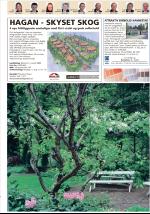 romerikesblad_bolig-20080811_000_00_00_009.pdf