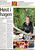romerikesblad_bolig-20080929_000_00_00_004.pdf
