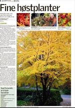 romerikesblad_bolig-20080929_000_00_00_006.pdf