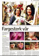 romerikesblad_bolig-20090202_000_00_00_005.pdf