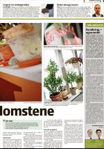 romerikesblad_bolig-20090309_000_00_00_003.pdf