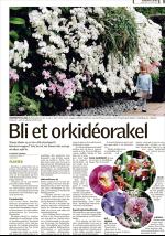 romerikesblad_bolig-20090427_000_00_00_005.pdf