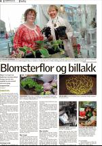 romerikesblad_bolig-20090504_000_00_00_006.pdf