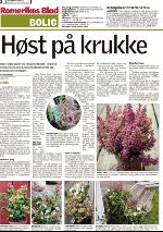 romerikesblad_bolig-20090921_000_00_00_002.pdf