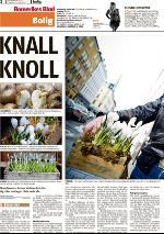romerikesblad_bolig-20100315_000_00_00_002.pdf