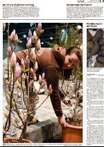 romerikesblad_bolig-20100412_000_00_00_005.pdf