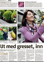 romerikesblad_bolig-20100419_000_00_00_004.pdf