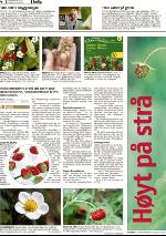 romerikesblad_bolig-20100503_000_00_00_004.pdf