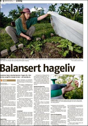 romerikesblad_bolig-20100628_000_00_00_006.pdf