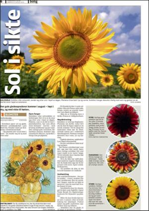 romerikesblad_bolig-20100809_000_00_00_006.pdf