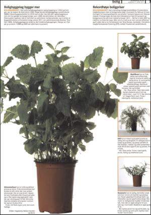 romerikesblad_bolig-20110411_000_00_00_003.pdf