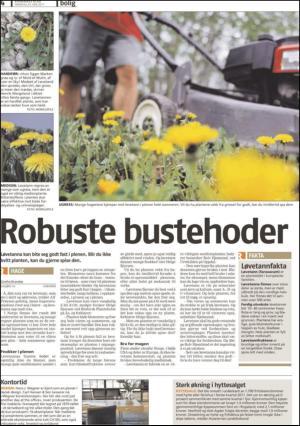 romerikesblad_bolig-20110523_000_00_00_004.pdf