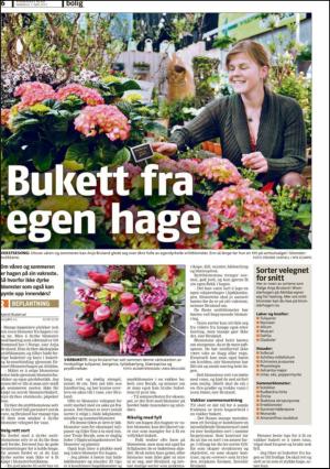 romerikesblad_bolig-20120507_000_00_00_006.pdf