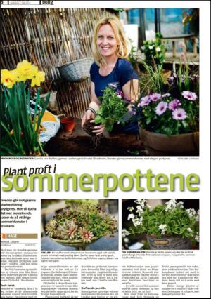 romerikesblad_bolig-20120604_000_00_00_006.pdf