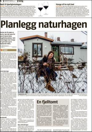 romerikesblad_bolig-20130204_000_00_00_004.pdf