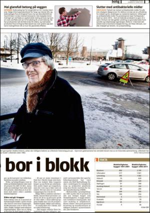 romerikesblad_bolig-20130304_000_00_00_003.pdf