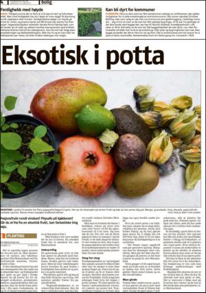 romerikesblad_bolig-20130610_000_00_00_004.pdf