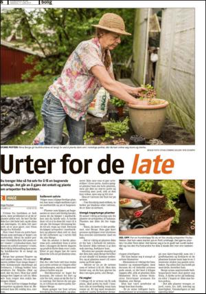 romerikesblad_bolig-20130617_000_00_00_006.pdf