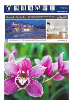 romerikesblad_bolig-20140623_000_00_00_040.pdf