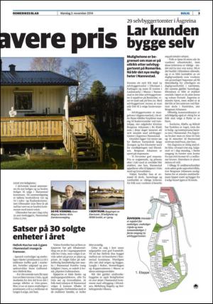romerikesblad_bolig-20141103_000_00_00_003.pdf