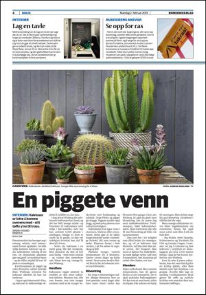 romerikesblad_bolig-20150202_000_00_00_004.pdf
