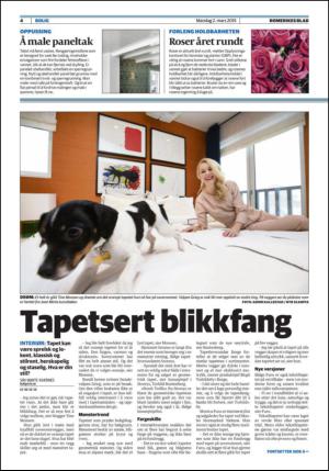romerikesblad_bolig-20150302_000_00_00_004.pdf