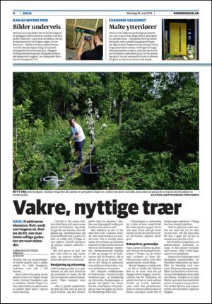 romerikesblad_bolig-20150518_000_00_00_004.pdf
