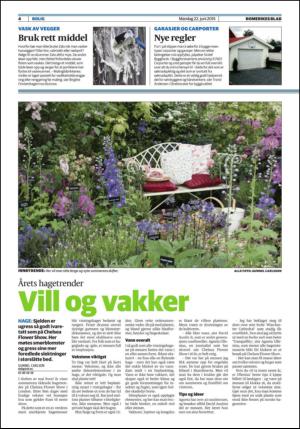 romerikesblad_bolig-20150622_000_00_00_004.pdf