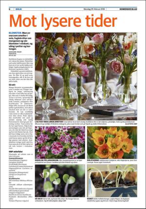 romerikesblad_bolig-20160229_000_00_00_006.pdf