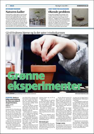 romerikesblad_bolig-20160314_000_00_00_004.pdf