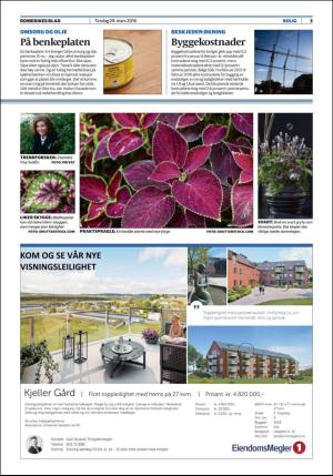 romerikesblad_bolig-20160329_000_00_00_003.pdf