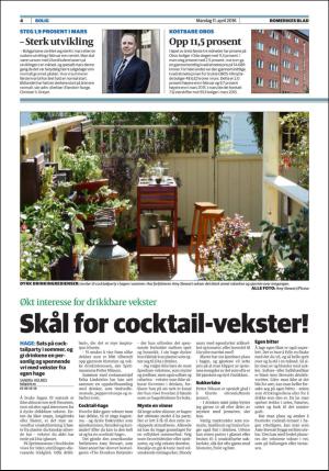 romerikesblad_bolig-20160411_000_00_00_004.pdf