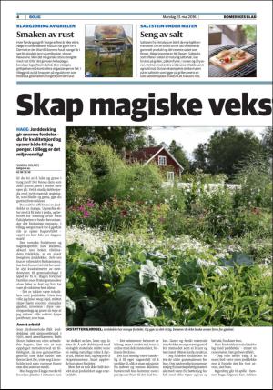 romerikesblad_bolig-20160523_000_00_00_004.pdf