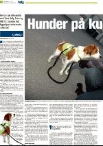 romerikesblad_helg-20091017_000_00_00_008.pdf