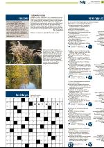 romerikesblad_helg-20091017_000_00_00_027.pdf