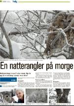 romerikesblad_helg-20100123_000_00_00_008.pdf