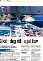 romerikesblad_helg-20100213_000_00_00_010.pdf