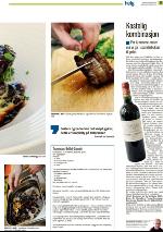 romerikesblad_helg-20100424_000_00_00_015.pdf