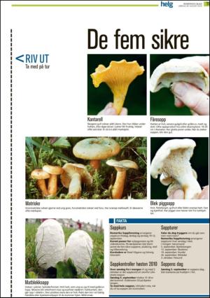 romerikesblad_helg-20100828_000_00_00_011.pdf